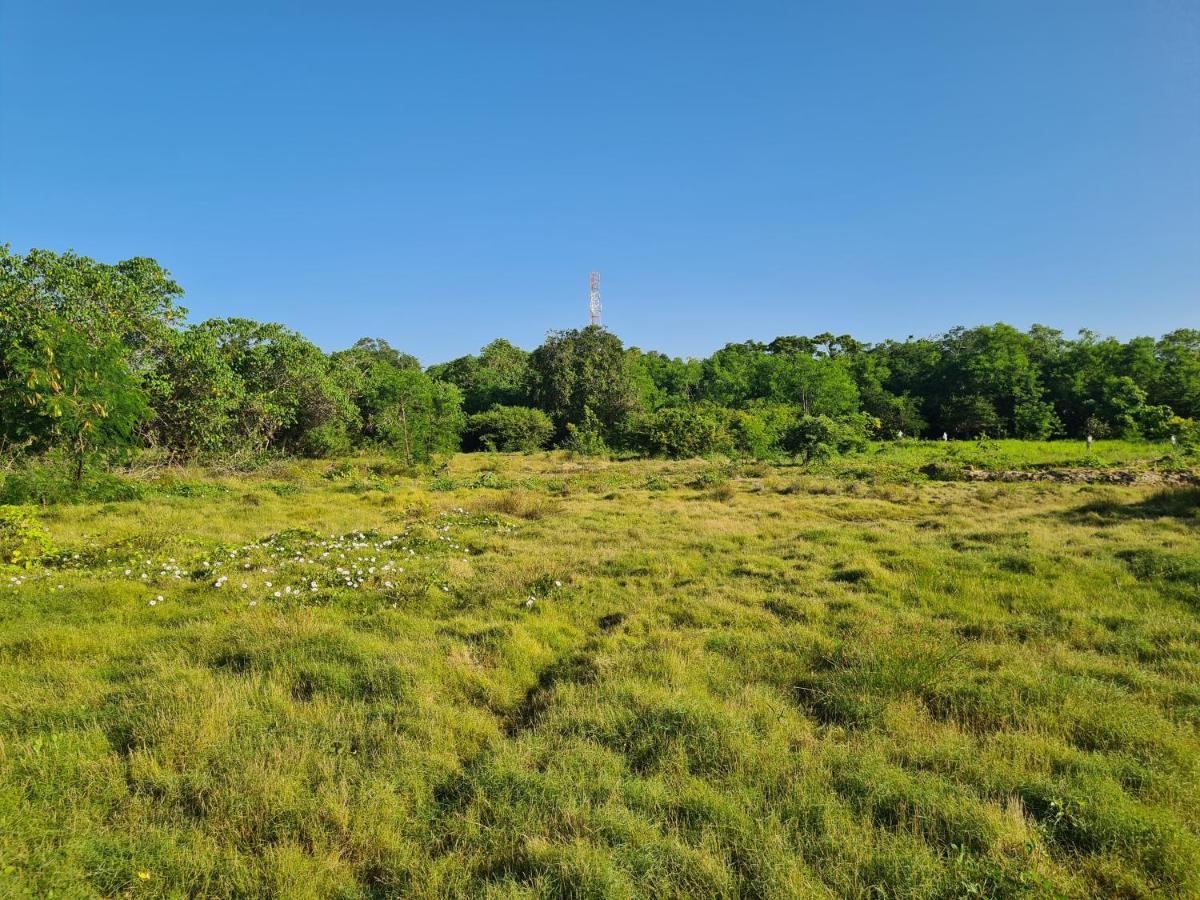 Ranakeliya Lodge - Яла Екстериор снимка